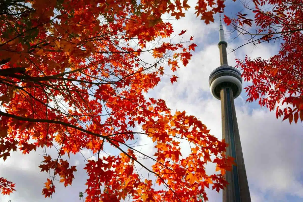 five-canadian-cities-among-the-top-100-best-cities-to-live-in-1232094