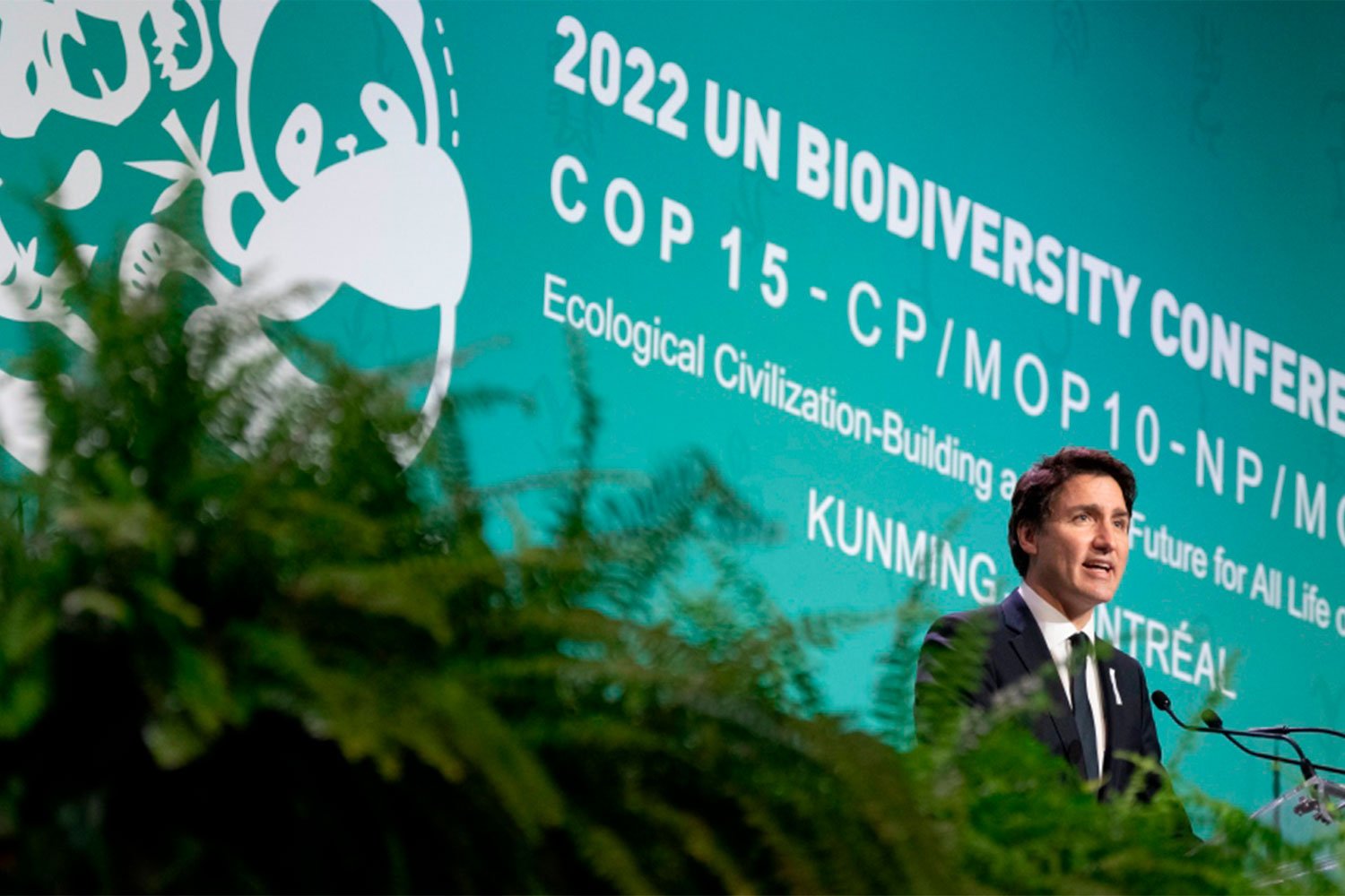 major-biodiversity-conference-opens-in-montreal