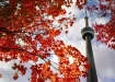 five-canadian-cities-among-the-top-100-best-cities-to-live-in-1232094